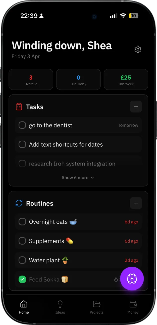 Brain Dump home screen with tasks, routines and weekly earnings
